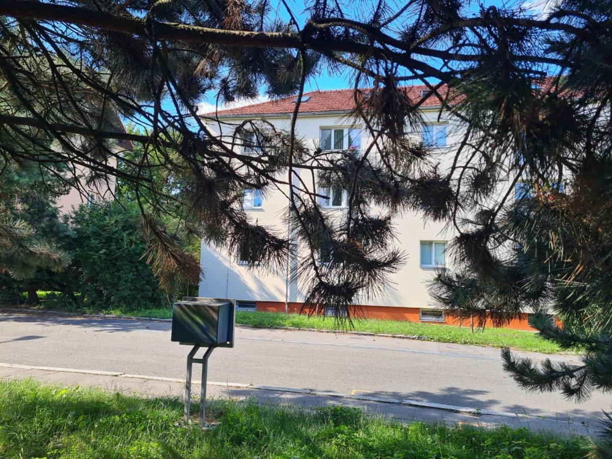 Airport Alloggio in famiglia